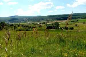 gite la melette luberon (20).jpg