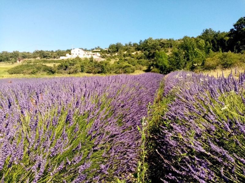 gite la melette luberon (28).jpg