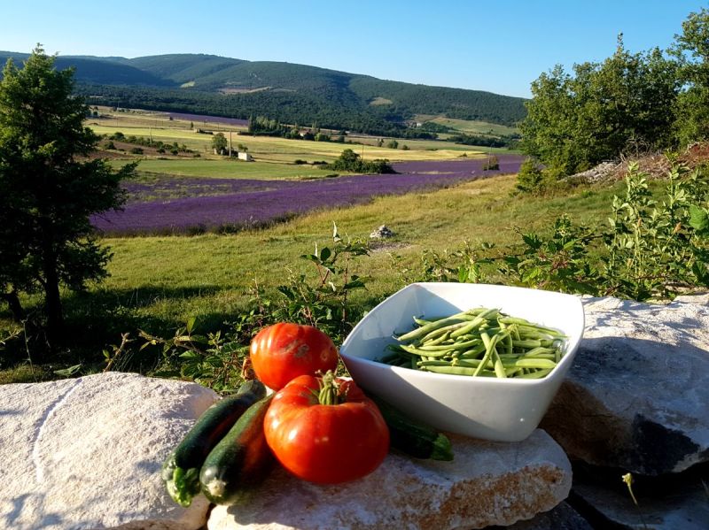 gite la melette luberon (13).jpg